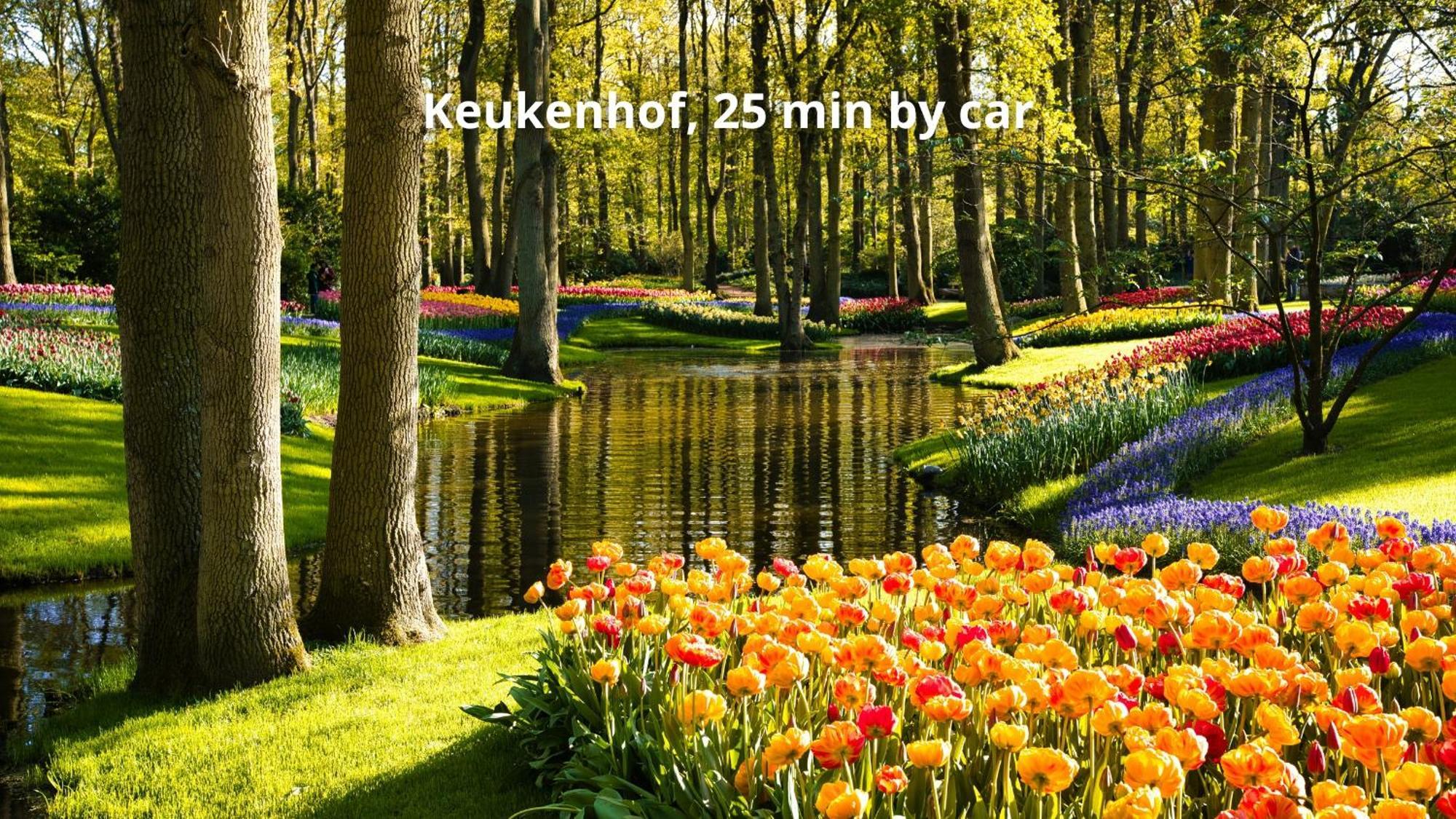 Boutique Hotel Herbergh Amsterdam Airport Free Parking Badhoevedorp Ngoại thất bức ảnh